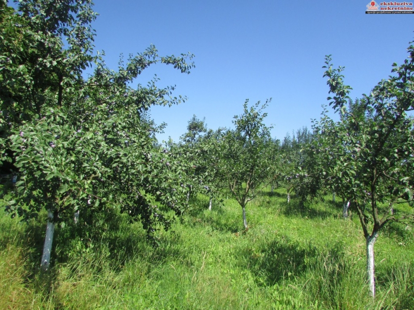 Zemljište sa voćnjakom u Zoviku